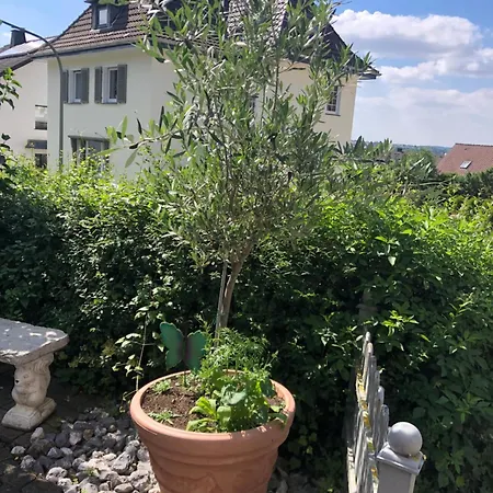 Gemuetliches In Bester Lage In Neheim 아파트